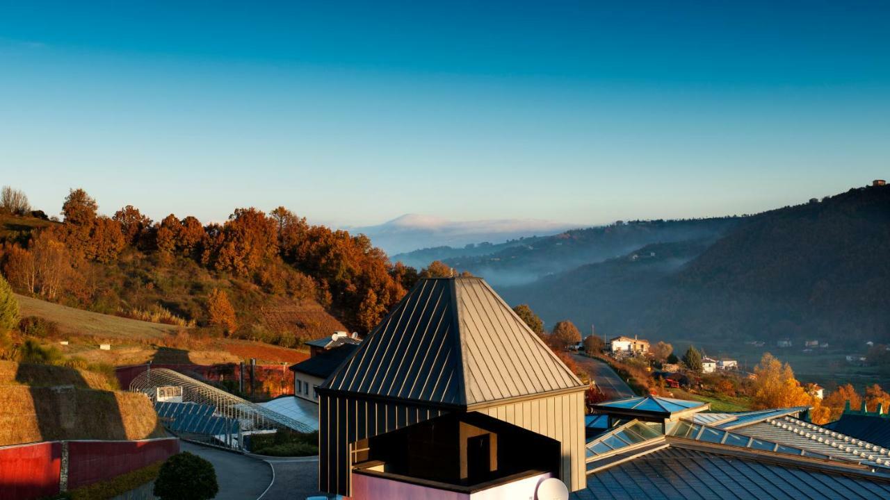 Hotel Bouganville Picerno Eksteriør billede